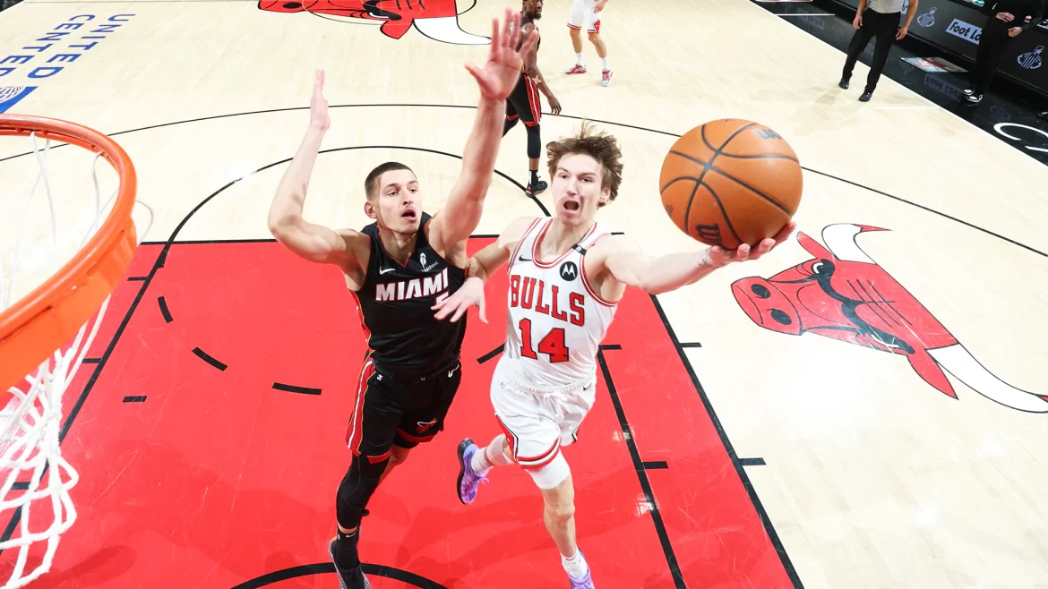 Miami heat vs Chicago bulls match player stats